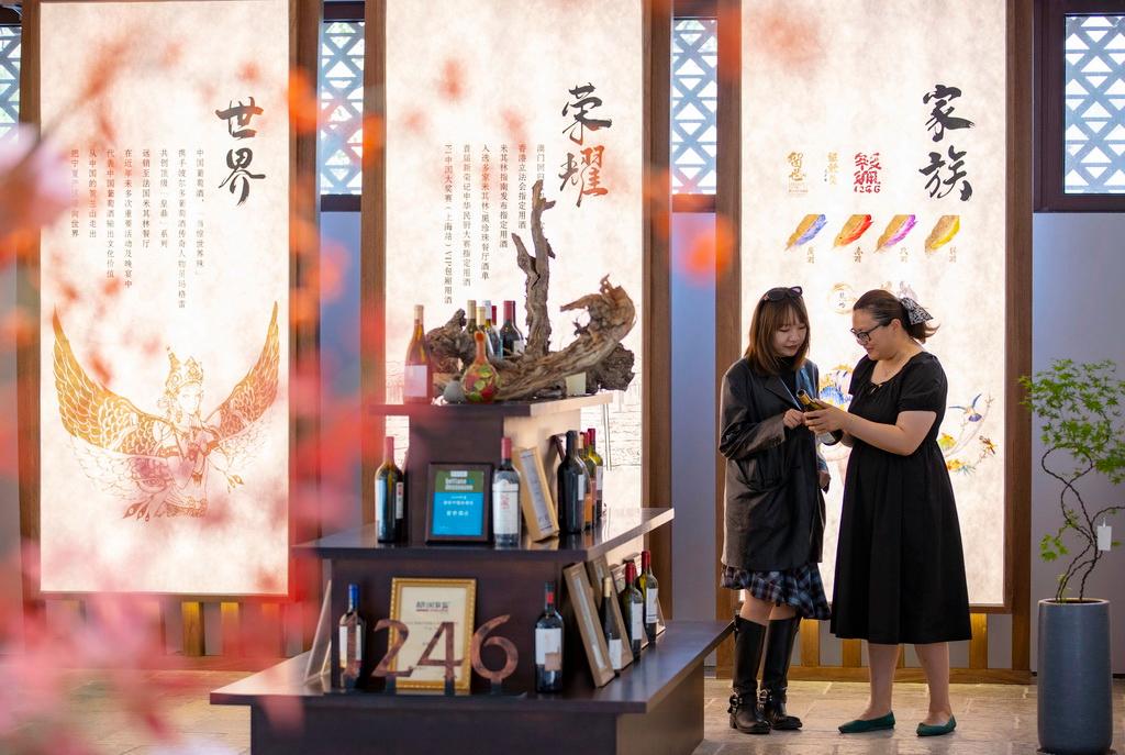 游客（左）在位于银川市的留世酒庄品鉴中心内参观（2025年6月1日摄）。新华社记者 杨植森 摄